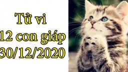 Tử vi 12 con giáp hôm nay 30/12: Tuổi Mão hanh thông, tuổi Thìn bất lợi