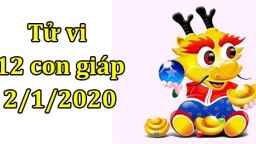 Tử vi 12 con giáp hôm nay 3/1: Tuổi Thìn nhiều niềm vui, tuổi Tị bốc đồng