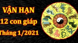 Vận hạn 12 con giáp tháng 1/2021, con giáp nào vất vả từ tháng đầu năm?