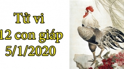 Tử vi 12 con giáp hôm nay 5/1: Tuổi Dậu tình cảm nở rộ, tuổi Mùi gặp chuyện khó khăn