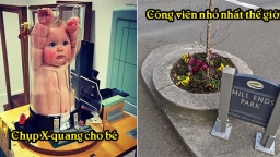 12 bức ảnh siêu hiếm về những điều thú vị trong cuộc sống giúp bạn mở mang đầu óc