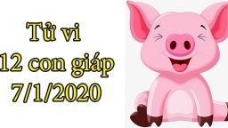 Tử vi 12 con giáp hôm nay 7/1: Tuổi Hợi nhiều tin vui, tuổi Dậu gặp không ít phiền não