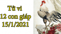 Tử vi 12 con giáp hôm nay 15/1: Tuổi Dậu thuận lợi, tuổi Thân gặp thị phi