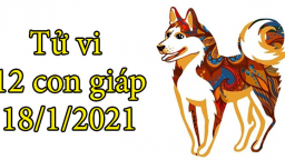 Tử vi 12 con giáp hôm nay 18/1: Tuổi Tuất may mắn, tuổi Tị gặp tương xung