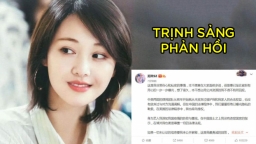 Top 1 hot search: Trịnh Sảng chính thức phản hồi về scandal mang thai hộ