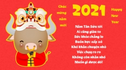 20 lời chúc Tết 2021 hay, ý nghĩa, độc đáo gửi tới mọi người