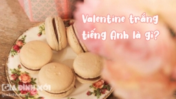 Valentine Trắng tiếng Anh là gì? Nguồn gốc, ý nghĩa ngày Valentine Trắng