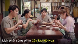 Lịch phát sóng phim Cây táo nở hoa trên HTV2, Vie Channel