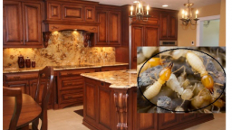 Cách xử lý mối mọt cho tủ bếp gỗ