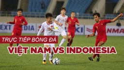 Link xem bóng đá Việt Nam vs Indonesia vòng loại World Cup 2022 ngày 7/6