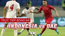 Link xem bóng đá Indonesia vs UAE vòng loại World Cup 2022 ngày 11/6