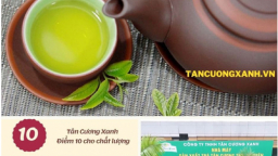 Trà Tân Cương Thái Nguyên Tân Cương Xanh