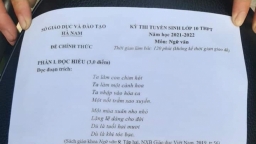 Đề thi vào lớp 10 môn Ngữ văn tại Hà Nam năm 2021 đầy đủ nhất