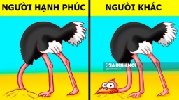 Vì sao học cách phớt lờ có thể giúp chúng ta hạnh phúc hơn?