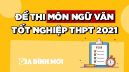 Đề thi môn Ngữ văn tốt nghiệp THPT 2021 đầy đủ nhất