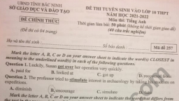 Đề thi vào lớp 10 môn Tiếng Anh tỉnh Bắc Ninh năm 2021 đầy đủ nhất