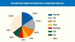 Bảo Việt đứng đầu thị trường phi nhân thọ 6T/2021: Khó khăn thành động lực phát triển