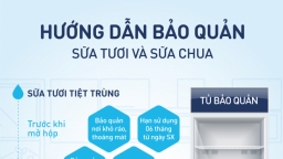 Bảo quản sữa chua và sữa tươi đúng cách để sản phẩm được an toàn