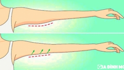 5 bài tập giảm mỡ bắp tay và vai cho cánh tay săn chắc, thon gọn chỉ dưới 30 phút mỗi ngày