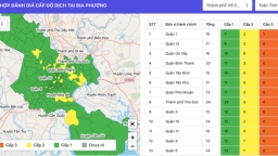 Hướng dẫn cách tra cứu cấp độ dịch trước khi về quê ăn Tết