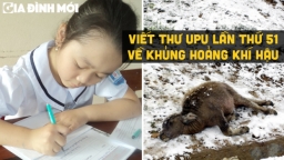 Em hãy viết thư gửi cho người có tầm ảnh hưởng về khủng hoảng khí hậu không quá 800 từ