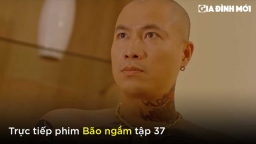 Bão ngầm tập 37: Anh em sinh đôi của Toàn khỉ đốm xuất hiện