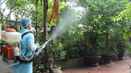 6 bệnh nhân mắc dịch Dengue qua đời, cần phân biệt để tránh nhầm với COVID-19