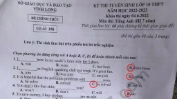 Gợi ý đáp án môn Tiếng Anh vào lớp 10 tỉnh Vĩnh Long năm 2022 mới nhất, chính xác nhất