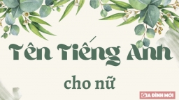 200+ tên tiếng Anh cho nữ đẹp, độc đáo, ý nghĩa nhất 2022