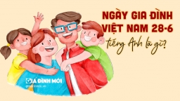 Ngày Gia đình Việt Nam 28/6 tiếng Anh là gì?