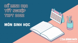 Đề minh họa môn Sinh học tốt nghiệp THPT 2022 có đáp án