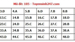 Đáp án môn Toán mã đề 105 thi tốt nghiệp THPT 2022 chi tiết, chính xác nhất