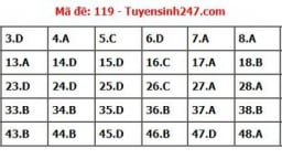 Đáp án môn Toán mã đề 119 thi tốt nghiệp THPT 2022 chi tiết, chính xác nhất