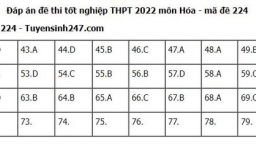 Đáp án các môn tổ hợp Khoa học Tự nhiên thi tốt nghiệp THPT 2022 chuẩn nhất