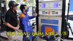 Giá xăng dầu hôm nay 11/8: Tiếp tục hạ nhiệt sau phiên điều chỉnh giá?