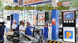 Giá xăng dầu hôm nay 17/8: Tiếp tục áp dụng giá cũ