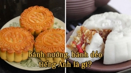 Bánh nướng, bánh dẻo tiếng Anh là gì? Từ vựng tiếng Anh về Tết Trung thu