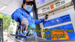 Giá xăng dầu hôm nay 20/9: Sẽ tiếp tục điều chỉnh vào phiên chiều mai