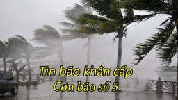 Tin bão khẩn cấp - cơn bão số 5: Di chuyển theo hướng Tây Tây Bắc, khoảng 15km/giờ