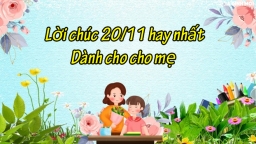 Lời chúc 20/11 cho mẹ là giáo viên hay và xúc động nhất