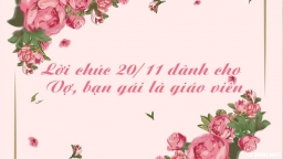 15 lời chúc 20/11 cho vợ, bạn gái, người yêu là giáo viên hay nhất