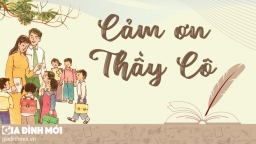 Thư cảm ơn thầy cô giáo ngày 20/11 hay, ngắn gọn, ý nghĩa nhất