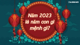 Năm 2023 là năm con gì, mệnh gì, hợp tuổi nào?