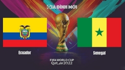 Nhận định Ecuador vs Senegal tại World Cup 2022 hôm nay 29/11