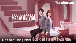 Lịch phát sóng phim Bất Cẩn Meow Phải Anh trên WeTV