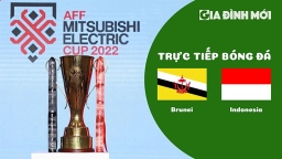 Trực tiếp Brunei vs Indonesia trên VTV5 giải AFF Cup 2022 hôm nay 26/12