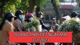 Dự báo thời tiết ngày mai 3/1: Miền Bắc ấm dần lên