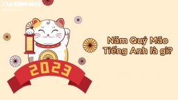 Năm Quý Mão tiếng Anh là gì?