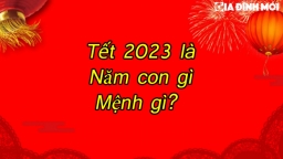 Tết 2023 là năm con gì, mệnh gì?