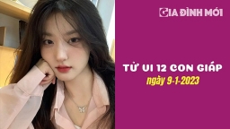 Tử vi hôm nay 9/1/2023 của 12 con giáp: Ngày dành cho tuổi Tỵ